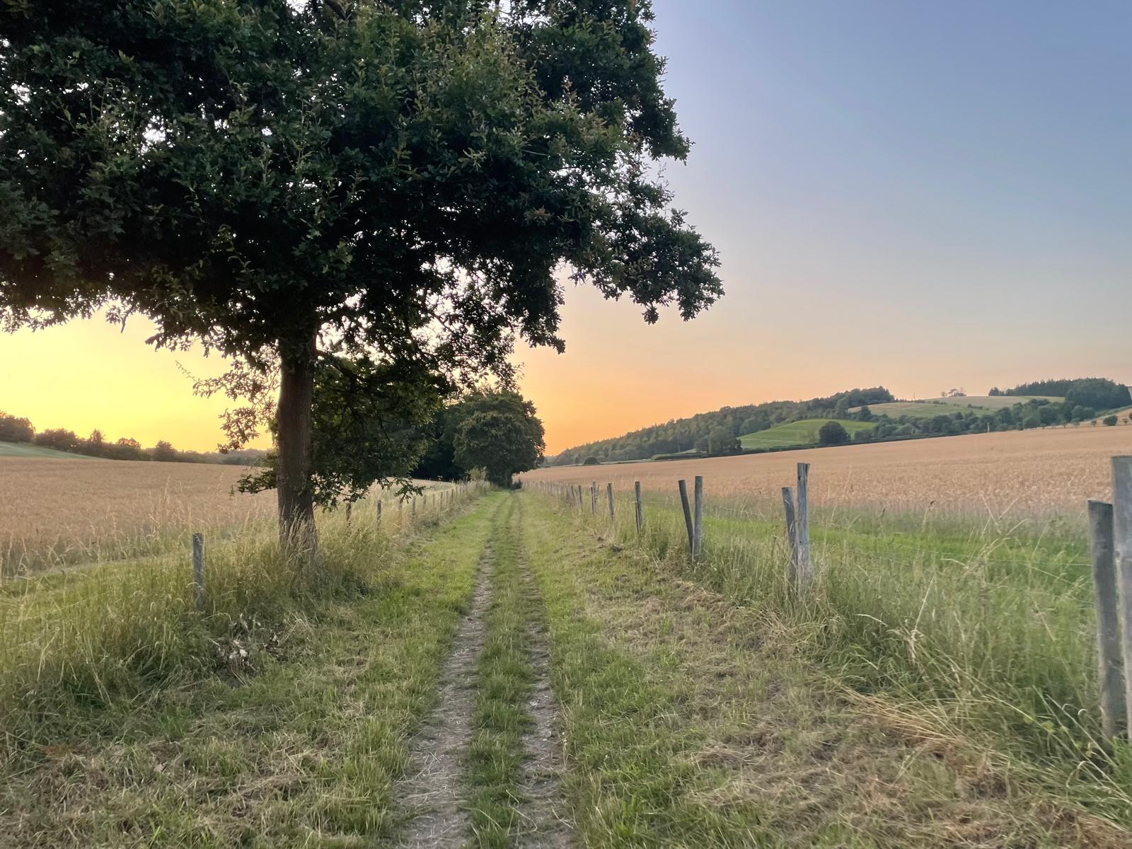 A bridleway at sunset near Cholsey Farm